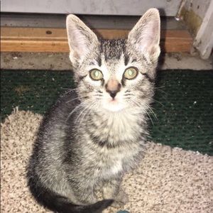 Meet your Posher, Georgia